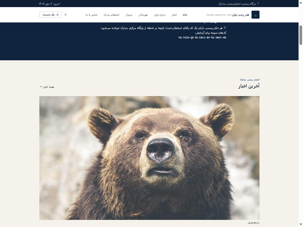 هنر رزمی توان